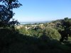 Panorama dal sentiero per Montefiascone