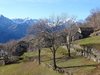Alpe Biogno