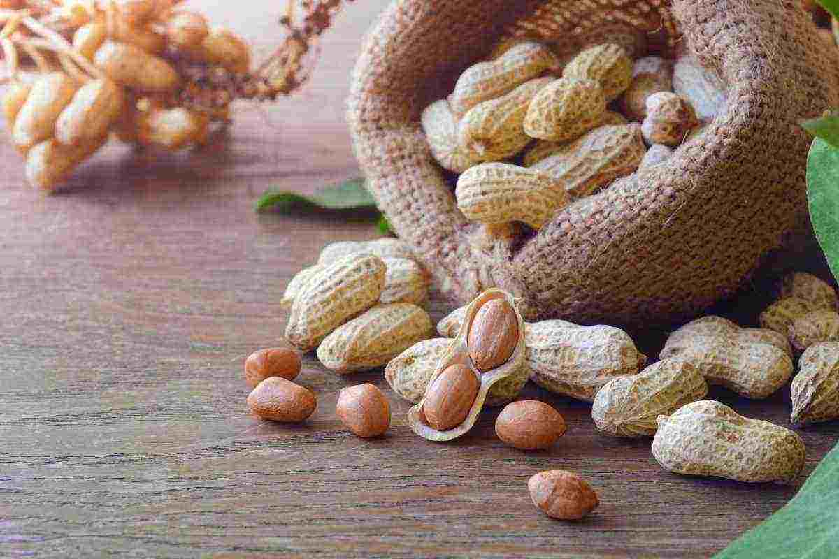 Il segreto fai da te che sta conquistando tutti, tutti i dettagli