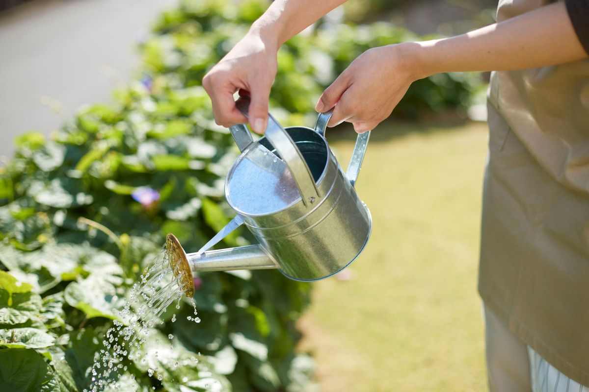 Il riuso creativo dei flaconi di detersivo