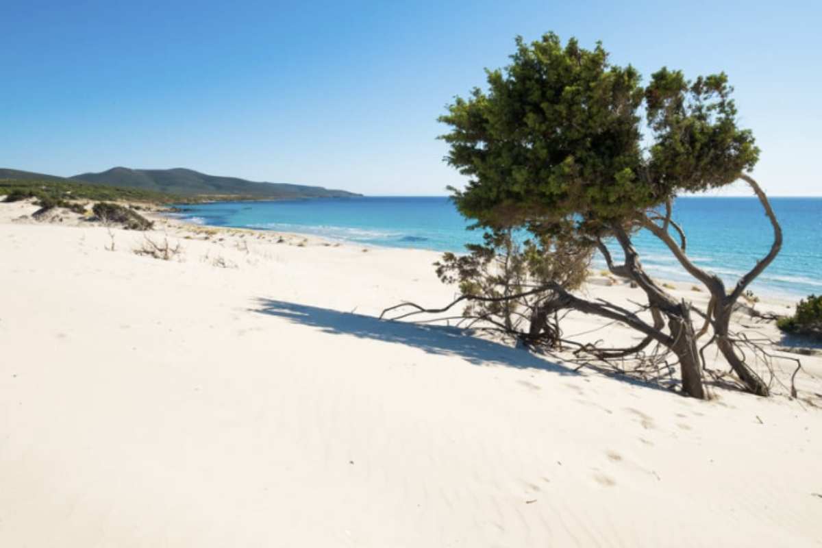 Per invertire questa tendenza, le autorità locali hanno varato un piano innovativo e allettante, che prevede incentivi economici